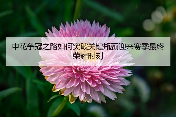 申花争冠之路如何突破关键瓶颈迎来赛季最终荣耀时刻